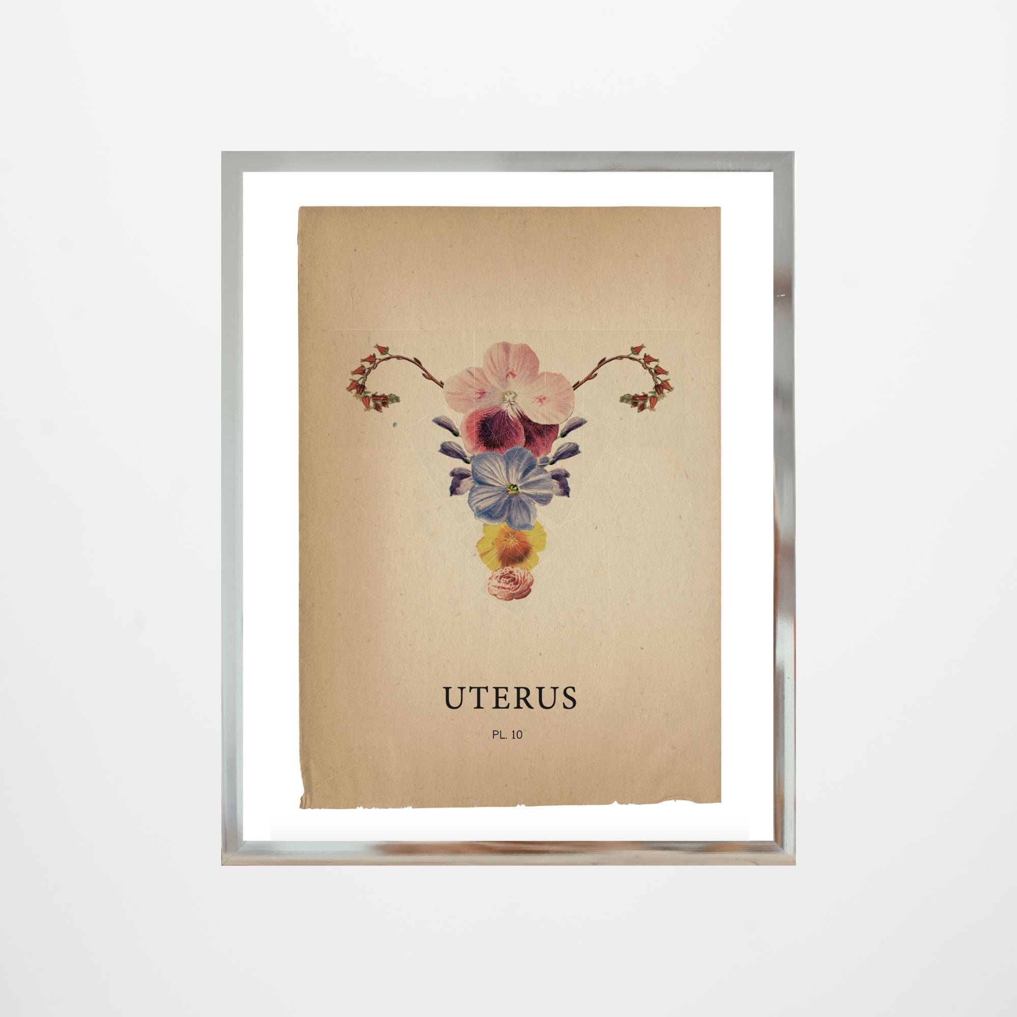 Poster - "Flora Uterus"