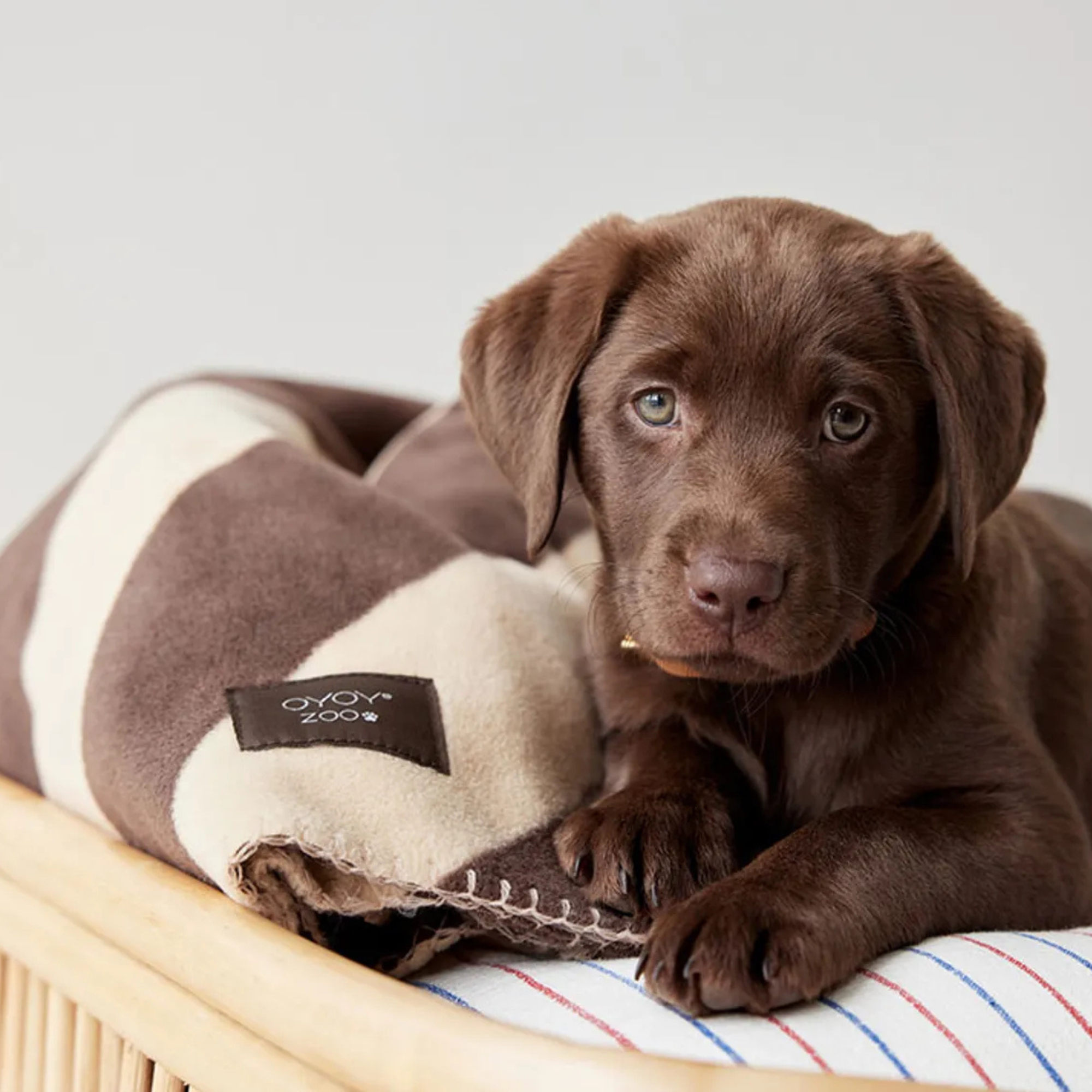 Hundedecke "Samstags vorm Kamin"