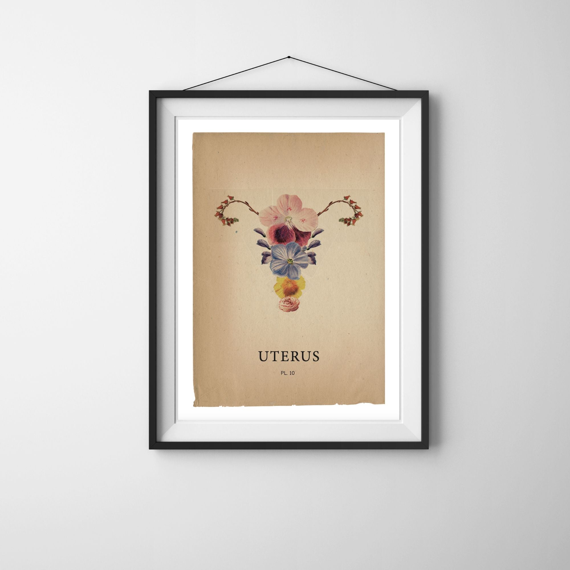 Poster - "Flora Uterus"